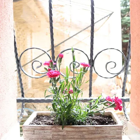 Center Vintage Appartement Sofia