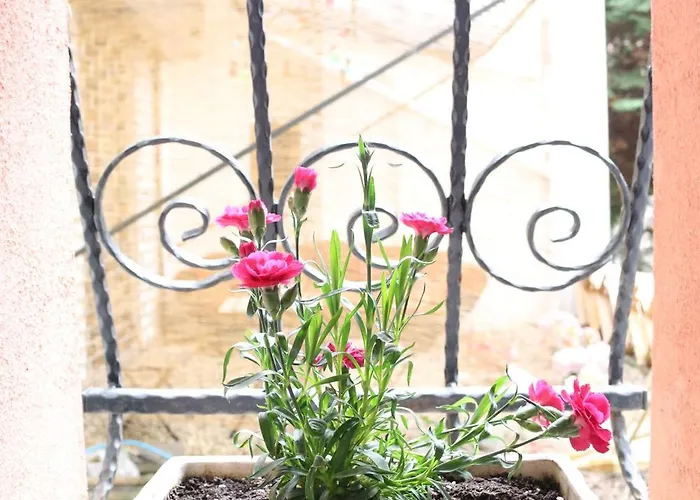 Center Vintage Appartement Sofia