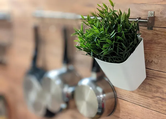 Center Vintage * Sofia